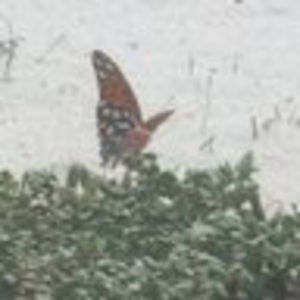 Meet your Posher, Jeanne